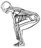 deadlift