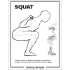 poster starting strength squat
